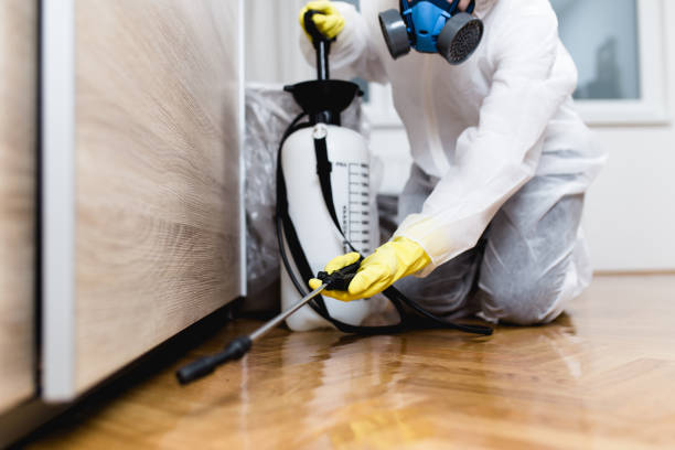 Best Mosquito Control Services  in Spring Grove, MN