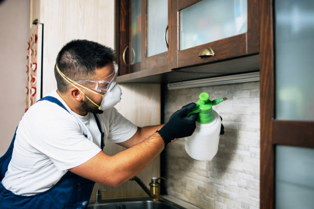 Best Commercial Pest Control Services  in Spring Grove, MN