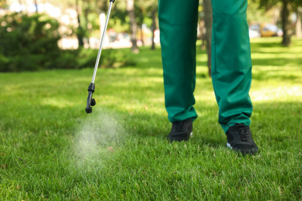 Best Mosquito Control Services  in Spring Grove, MN