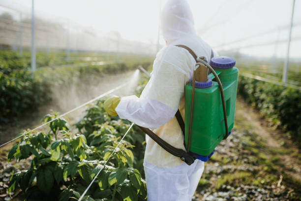 Best Rat Extermination Near Me  in Spring Grove, MN